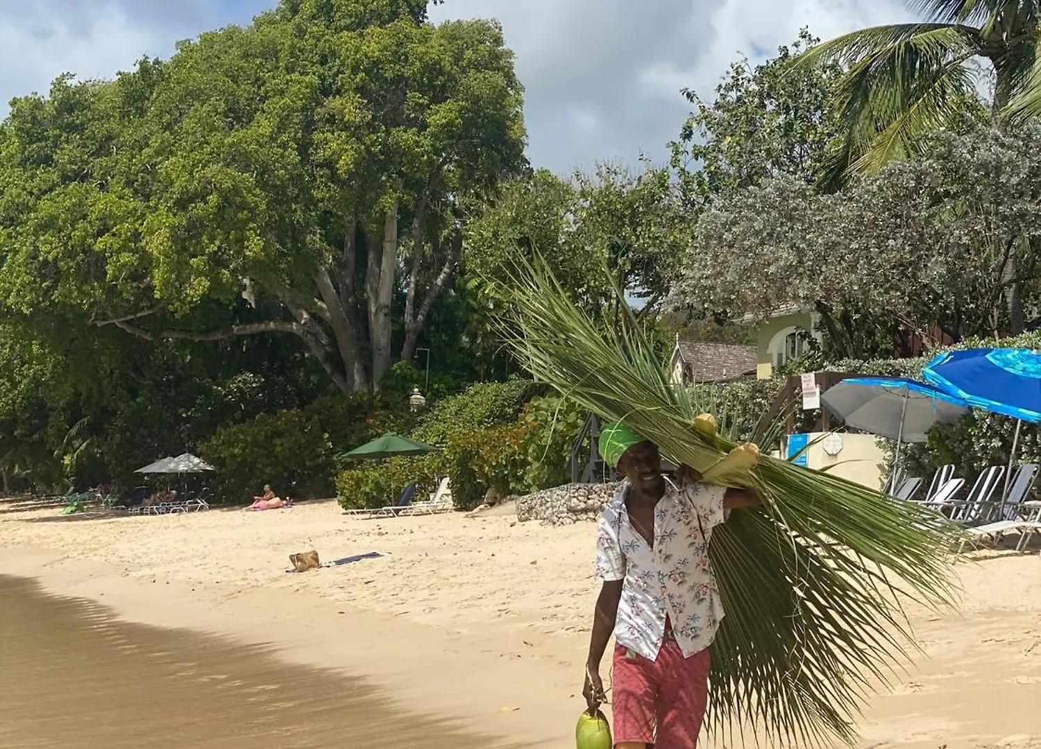 Mullins Beach Houses Saint Peter 0*,